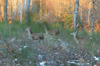 dsc_0034.jpg