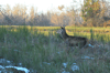 dsc_0035.jpg