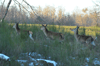 dsc_0037.jpg