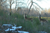 dsc_0038.jpg