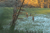 dsc_0039.jpg