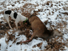 dsc_0046.jpg