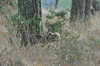 dsc_0001.jpg