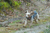 dsc_0003.jpg