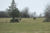 dsc_0004.jpg