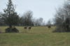 dsc_0005.jpg