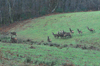 dsc_0010.jpg