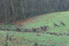 dsc_0011.jpg