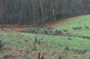 dsc_0012.jpg