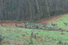dsc_0013.jpg