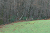 dsc_0019.jpg