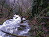 dsc_0015.jpg