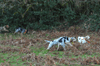 dsc_0008.jpg