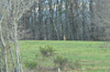 dsc_0017.jpg