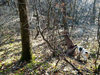 dsc_0019.jpg