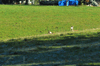 dsc_0035.jpg
