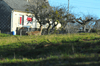 dsc_0037.jpg