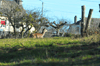 dsc_0038.jpg