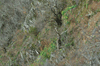 dsc_0004.jpg