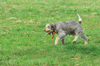 dsc_0009.jpg
