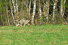 dsc_0002.jpg