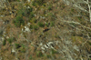 dsc_0007.jpg