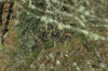 dsc_0010.jpg