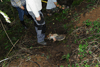 dsc_0007.jpg