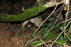 dsc_0012.jpg