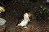 dsc_0016.jpg