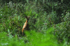 dsc_0004.jpg