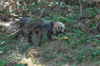 dsc_0008.jpg