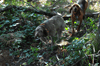 dsc_0009.jpg