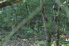 dsc_0012.jpg