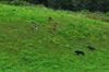dsc_0005.jpg