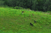 dsc_0006.jpg
