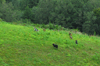 dsc_0007.jpg