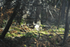 dsc_0006.jpg