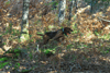 dsc_0007.jpg