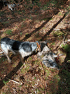 dsc_0011.jpg