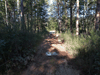 dsc_0019.jpg