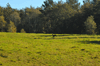 dsc_0003.jpg
