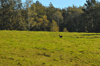 dsc_0004.jpg