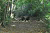 dsc_0006.jpg