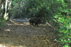 dsc_0007.jpg