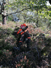 dsc_0011.jpg