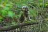 dsc_0014.jpg