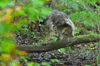 dsc_0015.jpg