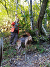 dsc_0019.jpg