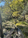 dsc_0001.jpg